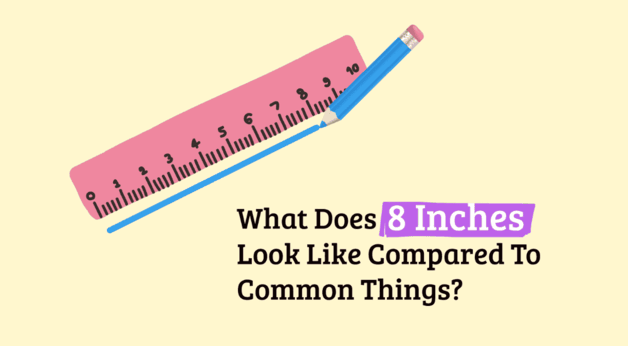 Understanding 8 Inches: Everyday Comparisons and Uses