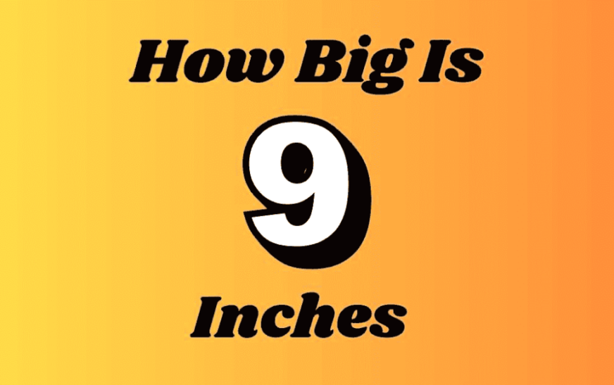 Understanding 9 Inches: Comparisons, and Practical Applications