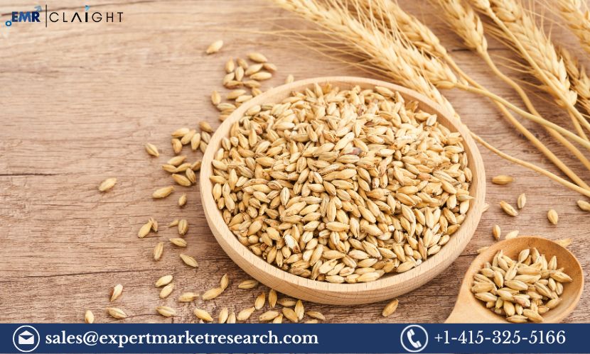 Barley Market Report: A Comprehensive Look at Trends, Applications, and Forecasts | 2032