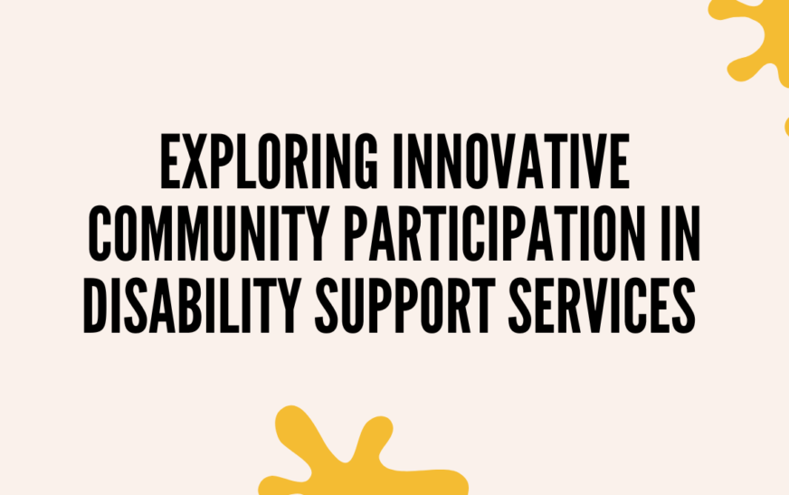 Exploring Innovative Community Participation in Disability Support Services 