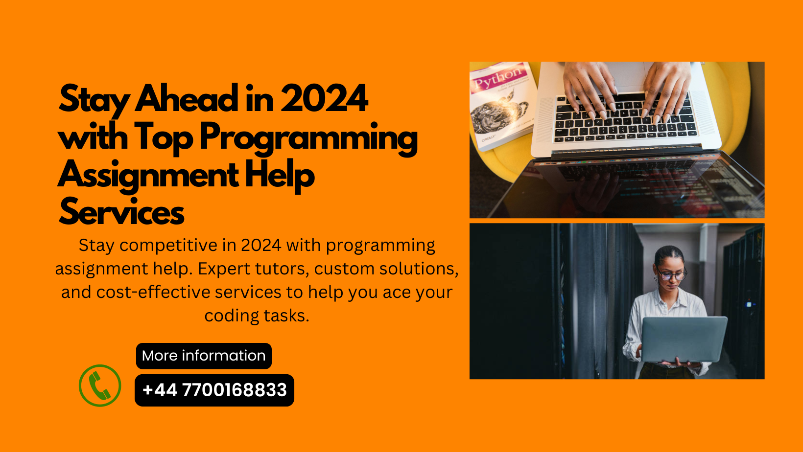 Stay Ahead in 2024 with Top Programming Assignment Help Services