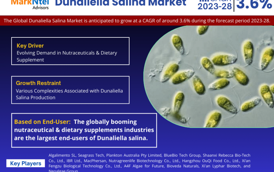 Dunaliella Salina Market Analysis 2028 – Unveiling Size, Share, Growth, Trends, and Industry Insights