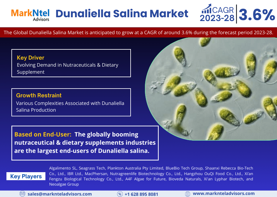 Dunaliella Salina Market Analysis 2028 – Unveiling Size, Share, Growth, Trends, and Industry Insights