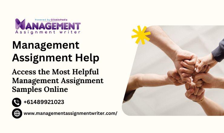 management assignment help