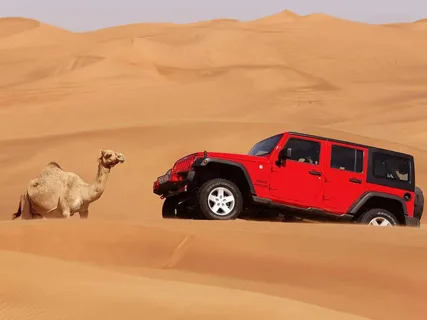 Premium Desert Safari