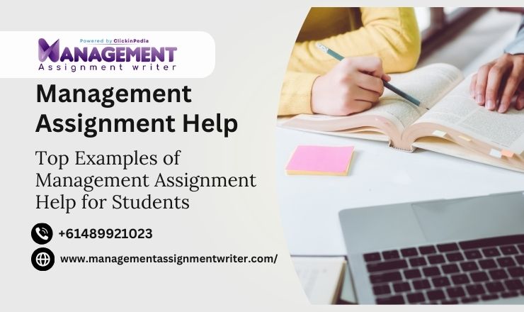 management assignment help