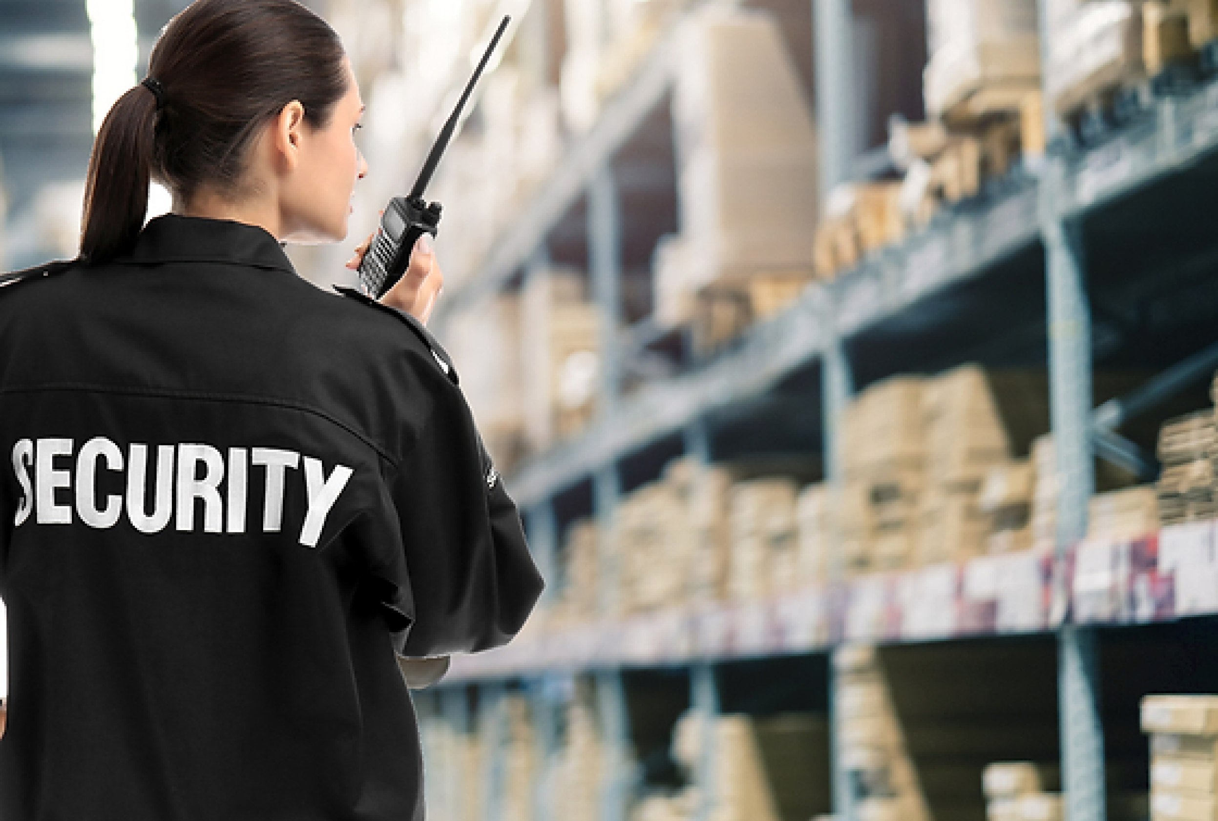 Customized Security Guard Services for Ventura Schools