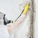 Hiring professionals to eliminate mold comes with several key advantages: