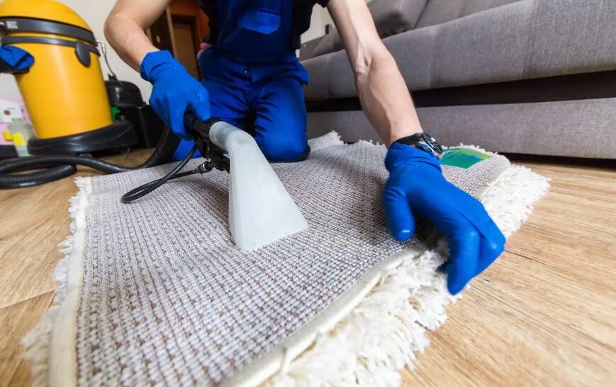 seattle house cleaning companies