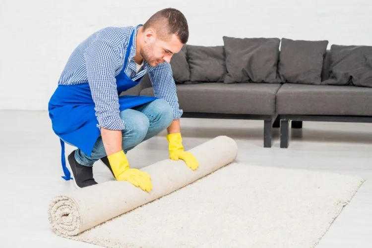 The Comfort and Wellness Benefits of Carpet Cleaning