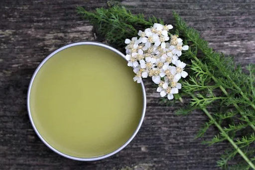 From Ancient Times to Modern Use: The History and Benefits of Yarrow Ointment