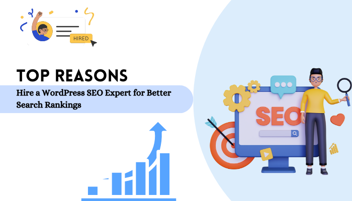 Why Hire a WordPress SEO Expert for Better Rankings