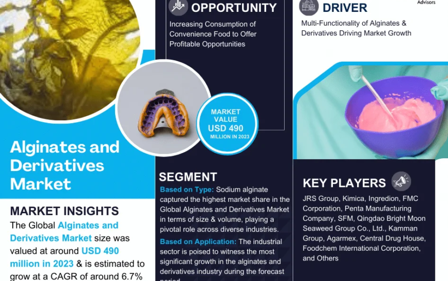 Alginates and Derivatives Market to Witness 6.7% CAGR Growth Between 2024 and 2030