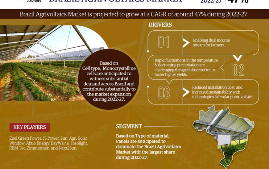 Brazil Agrivoltaics Market Size, Share, Trends, Demand, Growth and Competitive Analysis