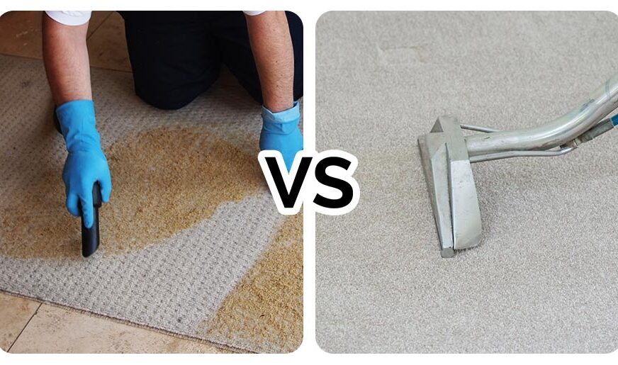 Carpet Steam Cleaning vs. Dry Cleaning: Which One Is Right for You?