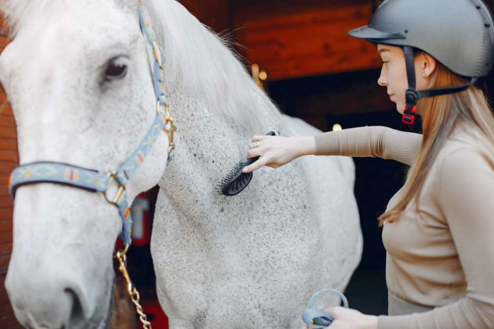 Glucosamine Sulfate vs. Glucosamine HCl for Horses: Which is Better?