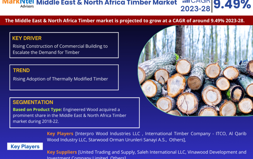 Middle East & North Africa Timber Market Size, Share, Trends, Demand, Growth and Competitive Analysis