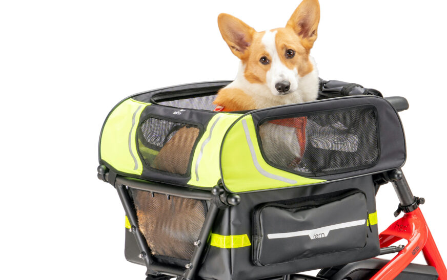 The Ultimate Guide to Choosing the Best Dog Carrier in the UK – Coming Soon to Our New Website!