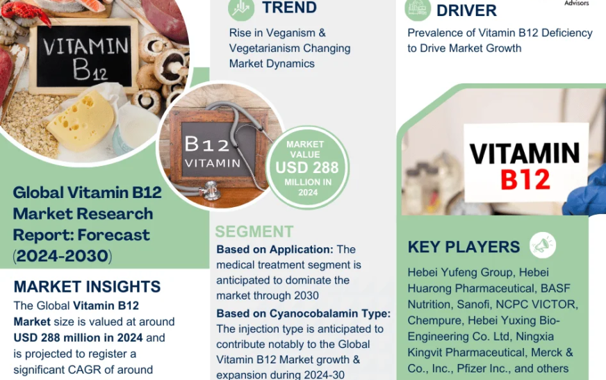 Innovations & Trends Within Vitamin B12 Market: What is Expected During 2024- 2030