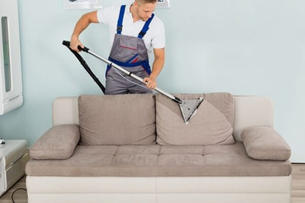 Why Choose Professional Sofa Cleaning in Arndell Park?