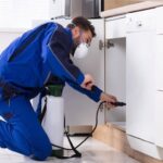 pest treatment services