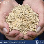 China Animal Feed Market