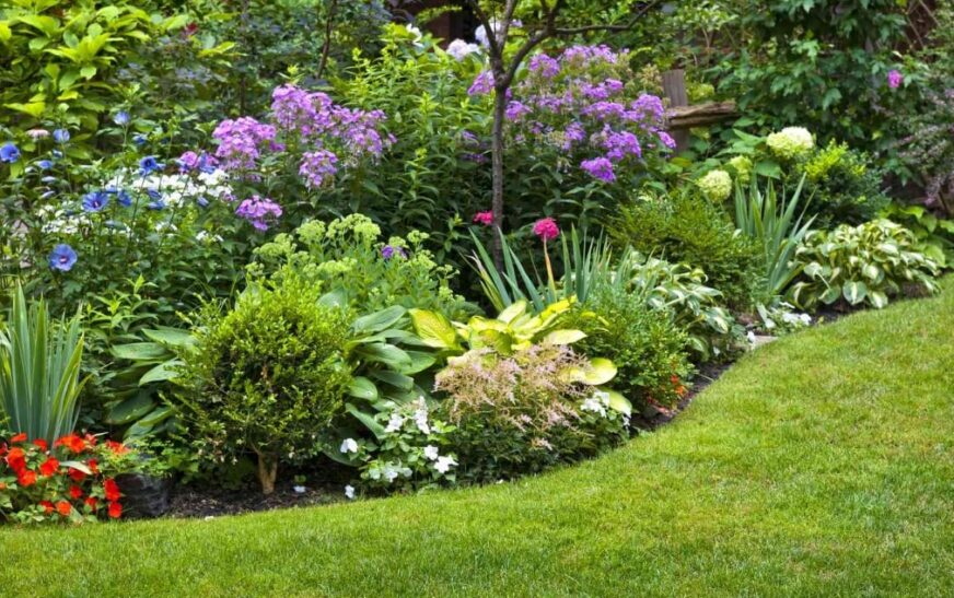 Shape Your Landscape With Professional Landscaping Services