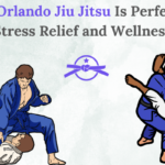 Orlando jiu jitsu