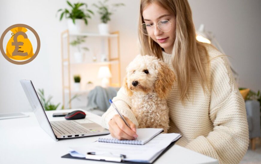 Tips to Manage Your Pet Care with Loans for Bad Credit!