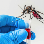 dengue test in delhi