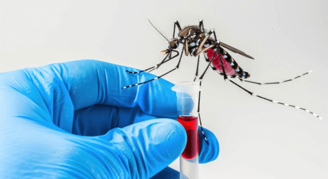 Types of Dengue Tests: Which One Is Right for You?