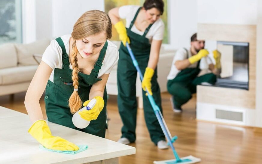 spring cleaning services