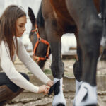 joint supplements for horses