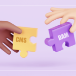 CMS vs DAM: Understanding the Differences