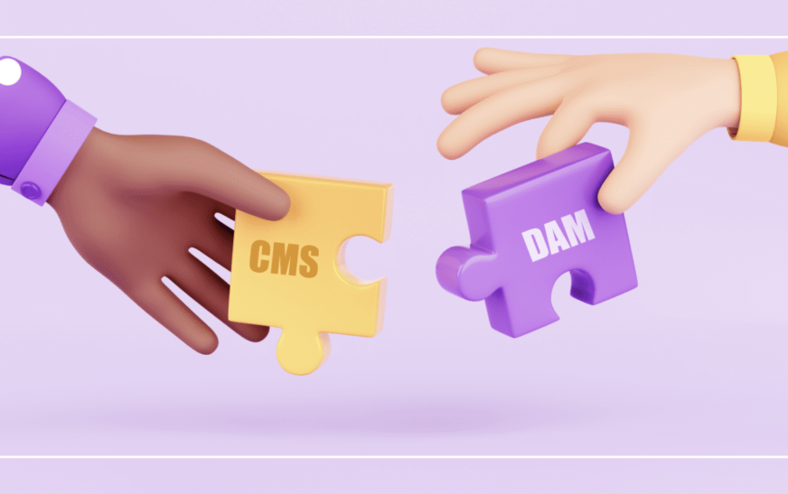 CMS vs DAM: Understanding the Differences