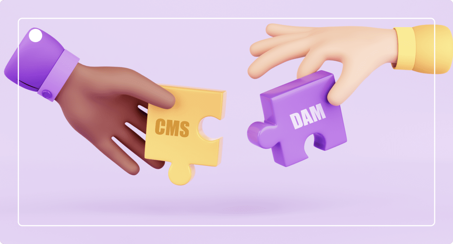 CMS vs DAM: Understanding the Differences