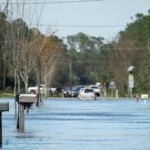 Florida flood insurance providers