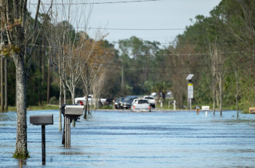 Florida flood insurance providers