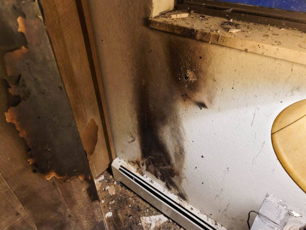 Can Your Property Be Fully Restored After a Fire? Understanding the Process