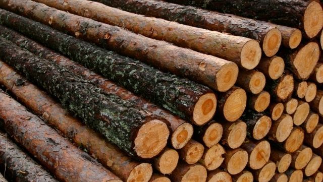 Eco-Friendly Heating: Sustainable Logs for Sale in Bournemouth and Poole