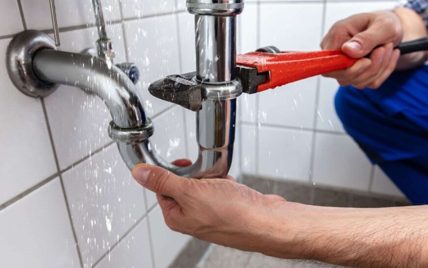 What a Skilled Plumber Can Do for Home