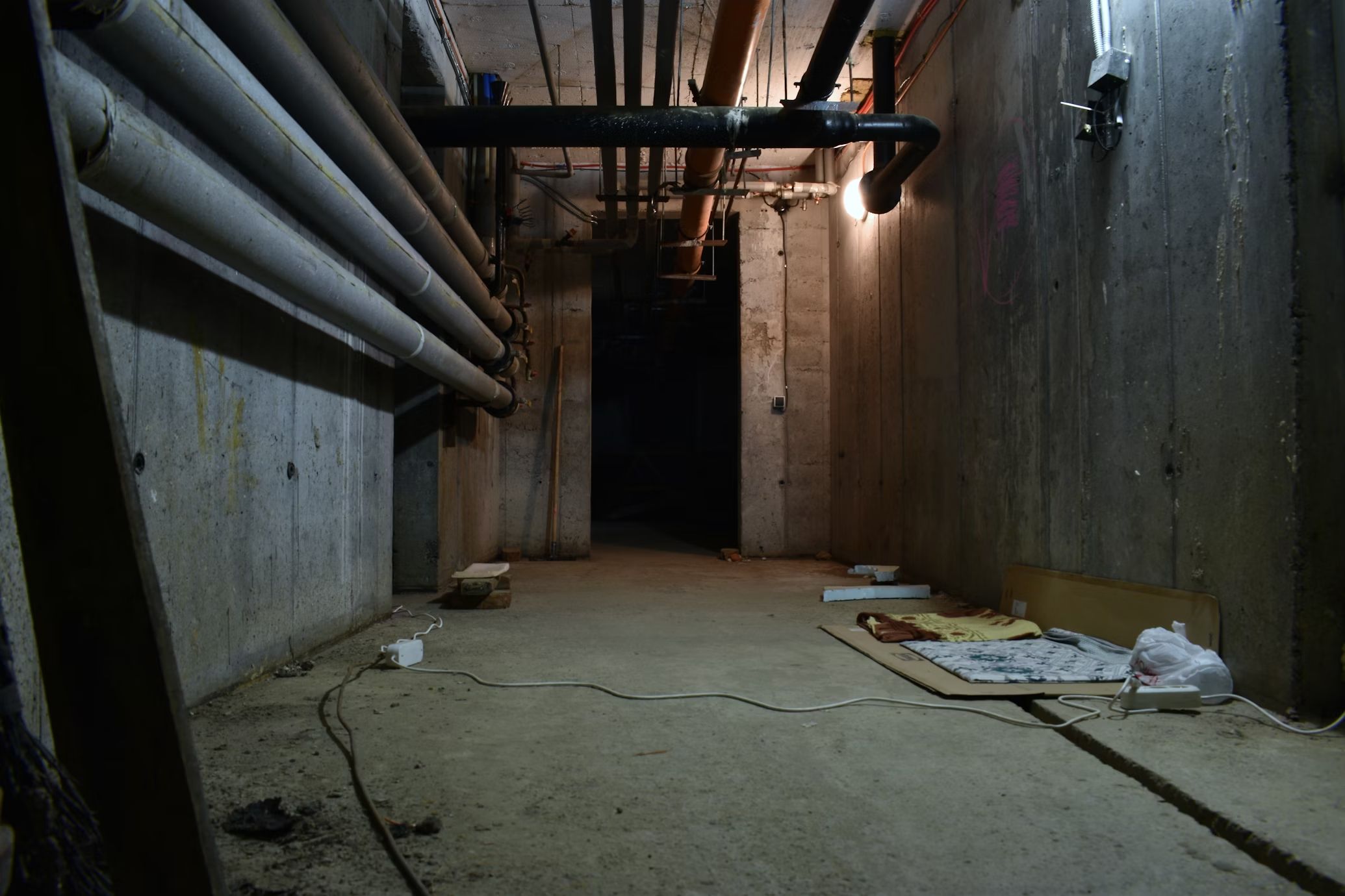 The Ultimate Guide to Basement Additions: Costs, Tips, and Ideas