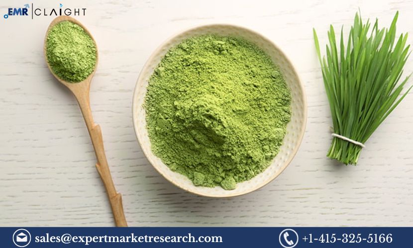 Chive Powder Manufacturing Plant Project Report 2025: Key Insights and Strategies