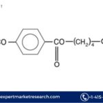 Polybutylene Terephthalate (PBT) Market Outlook