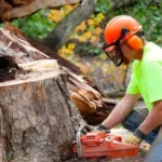 Tree Removal Services