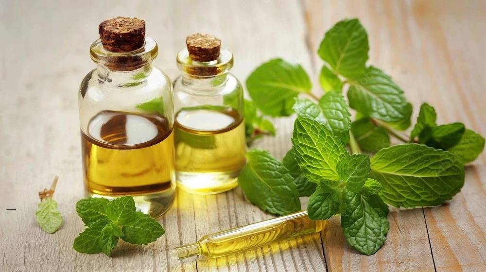 Essential Oils: Benefits, Uses, and Finding Trusted Essential Oil Suppliers