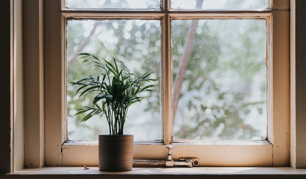 home window replacement