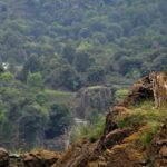 Manu National Park