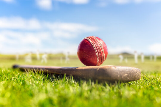 Online Cricket Betting ID: Why Amiribook is the Best Choice